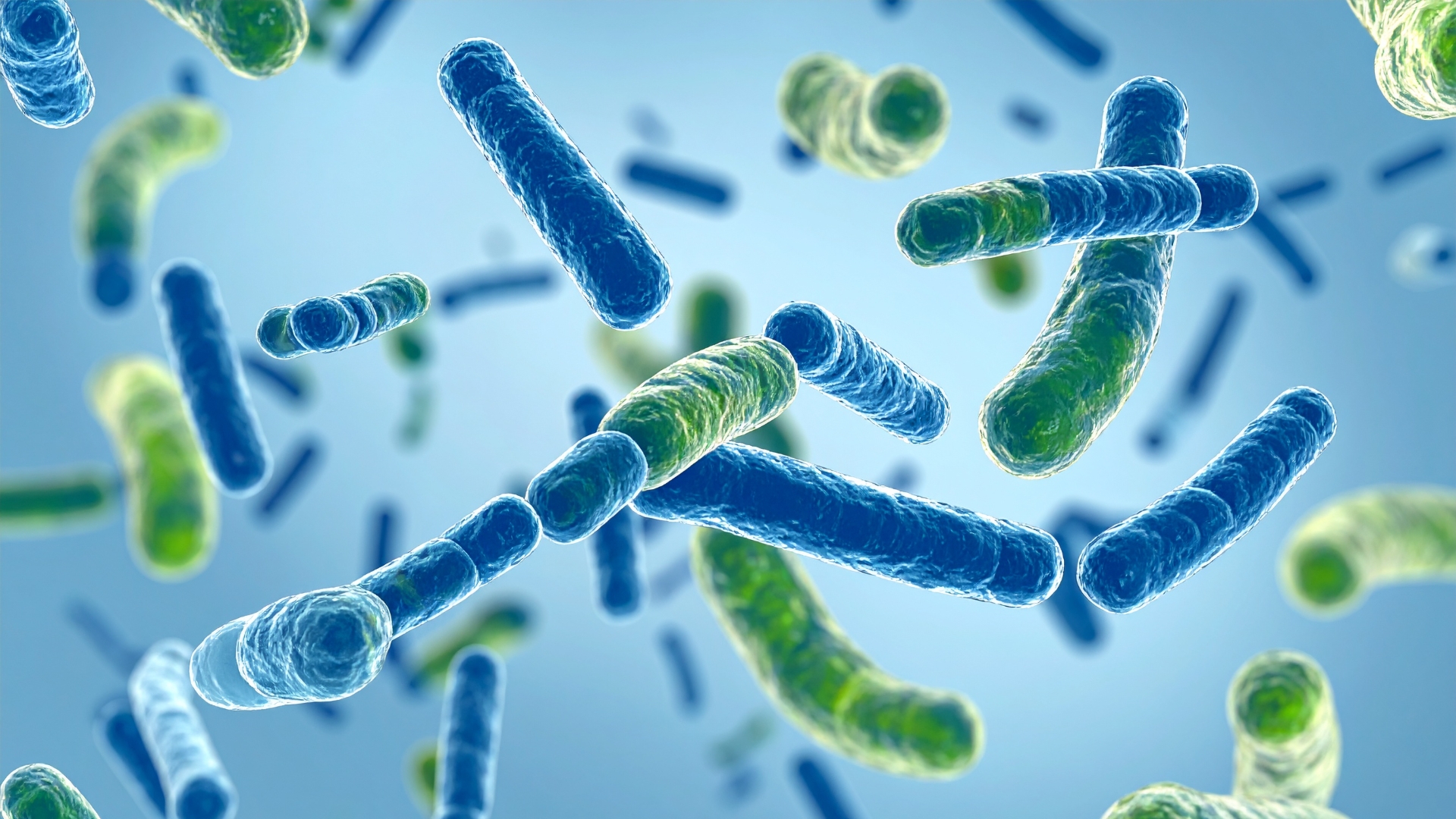 Probiotyk, prebiotyk czy synbiotyk – co wybrać?